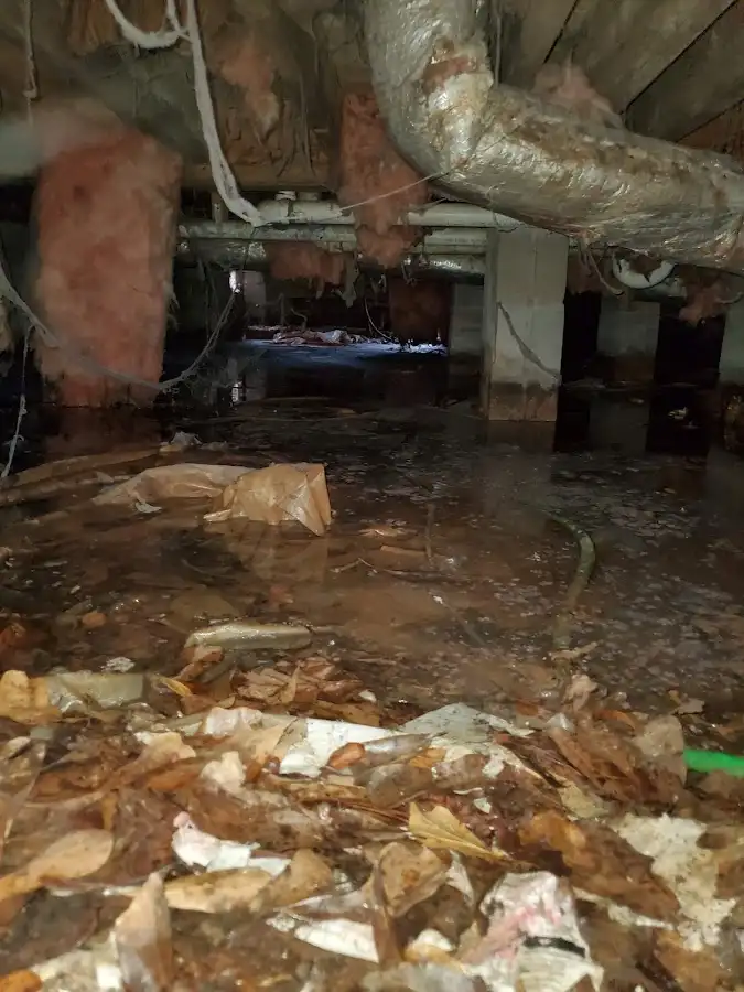 Crawl space flood assessment for Leak Detection & Repair in Cupertino